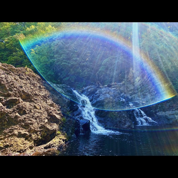 Meet your Posher, Francesca - Picture 5 of 5